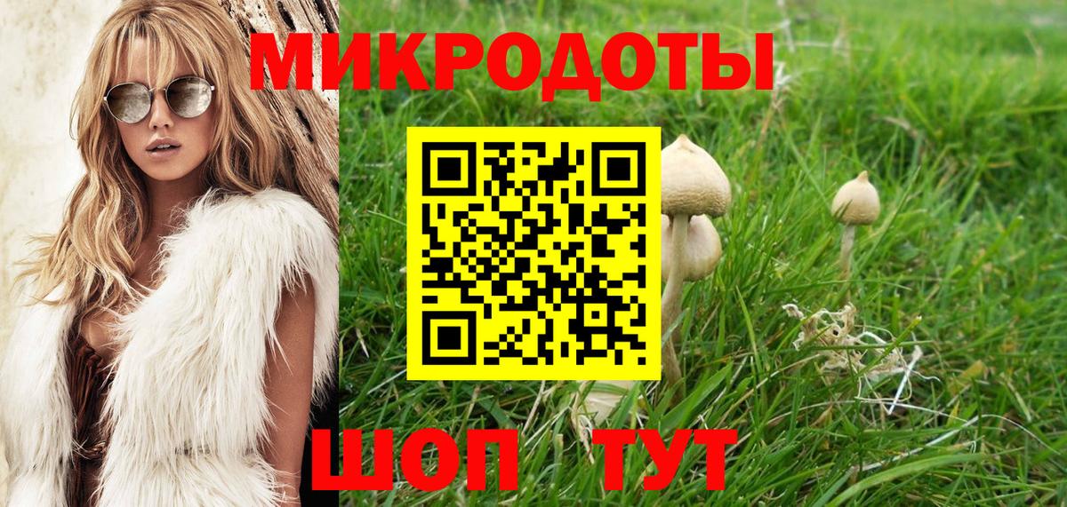 Псилоцибиновые грибы прущие грибы Новоалександровск